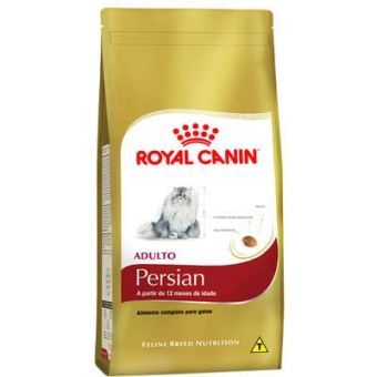 PERSIAN ADULT