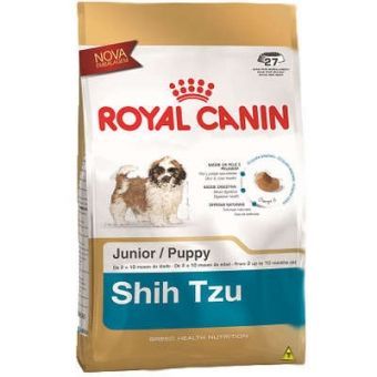 SHIH TZU JÚNIOR