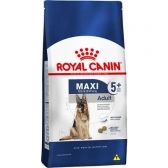 MAXI ADULT 5+