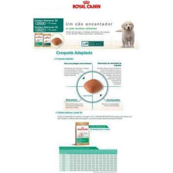 Ração para Golden Retriever Filhotes - Royal Canin