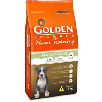 GOLDEN POWER TRAINING FILHOTES