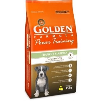 GOLDEN POWER TRAINING FILHOTES