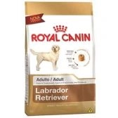 Ração para Labrador Retriever Adultos - Royal Canin