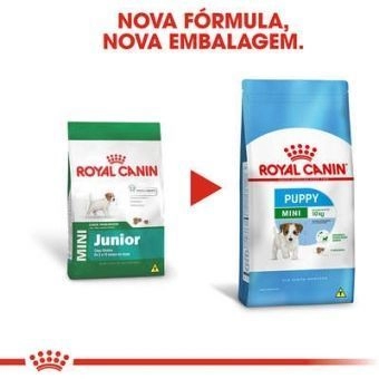MINI JÚNIOR