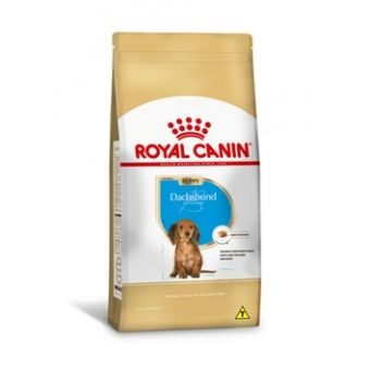 Ração para Dachshund Puppy - Royal Canin