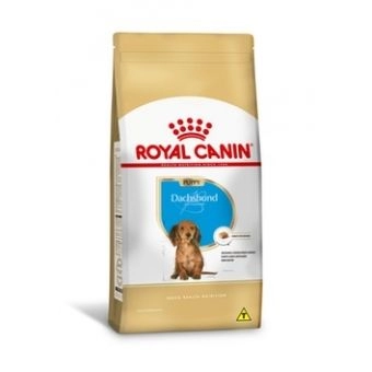 Ração para Dachshund Puppy - Royal Canin