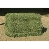 Alfafa em Ramas - Fardo de 20 kg [Rica em Proteínas]