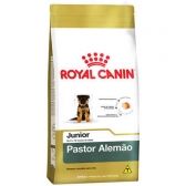 PASTOR JÚNIOR