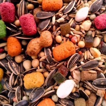 Mistura para Papagaios com Frutas - Pássaro Forte