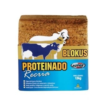 BLOKUS PROTEINADO RECRIA