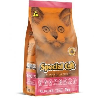 SPECIAL CAT FILHOTES