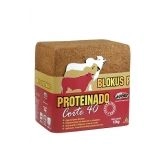 BLOKUS PROTEINADO CORTE 40