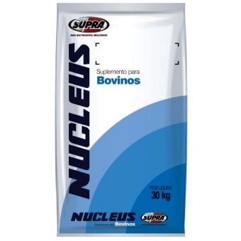 NUCLEUS LEITE NOVILHA 40