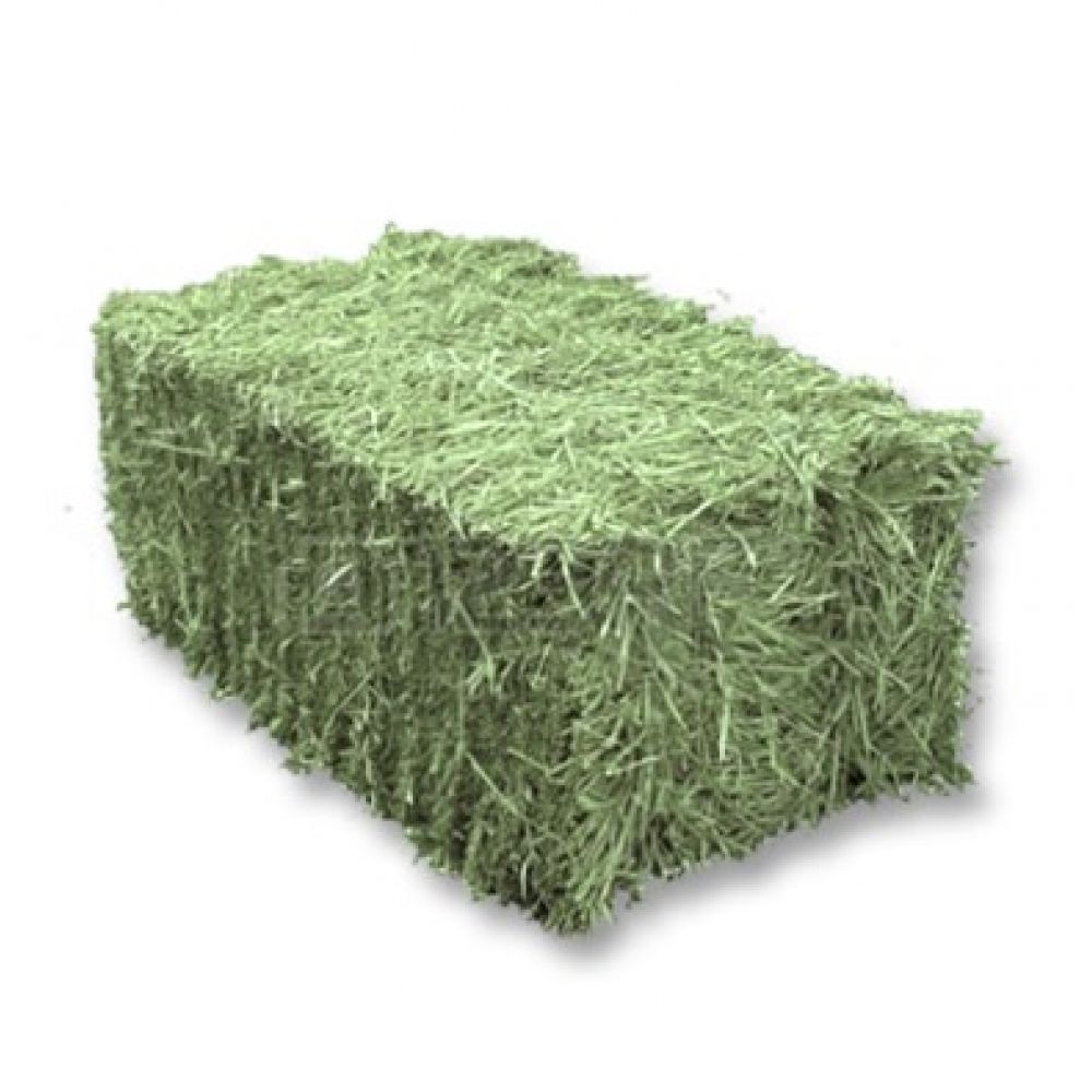 Feno em Fardo - 10,0 kg (Imagem meramente ilustrativa)