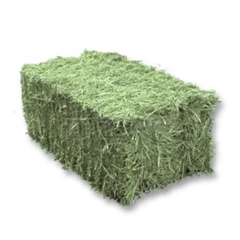 Feno em Fardo - 10,0 kg (Imagem meramente ilustrativa)