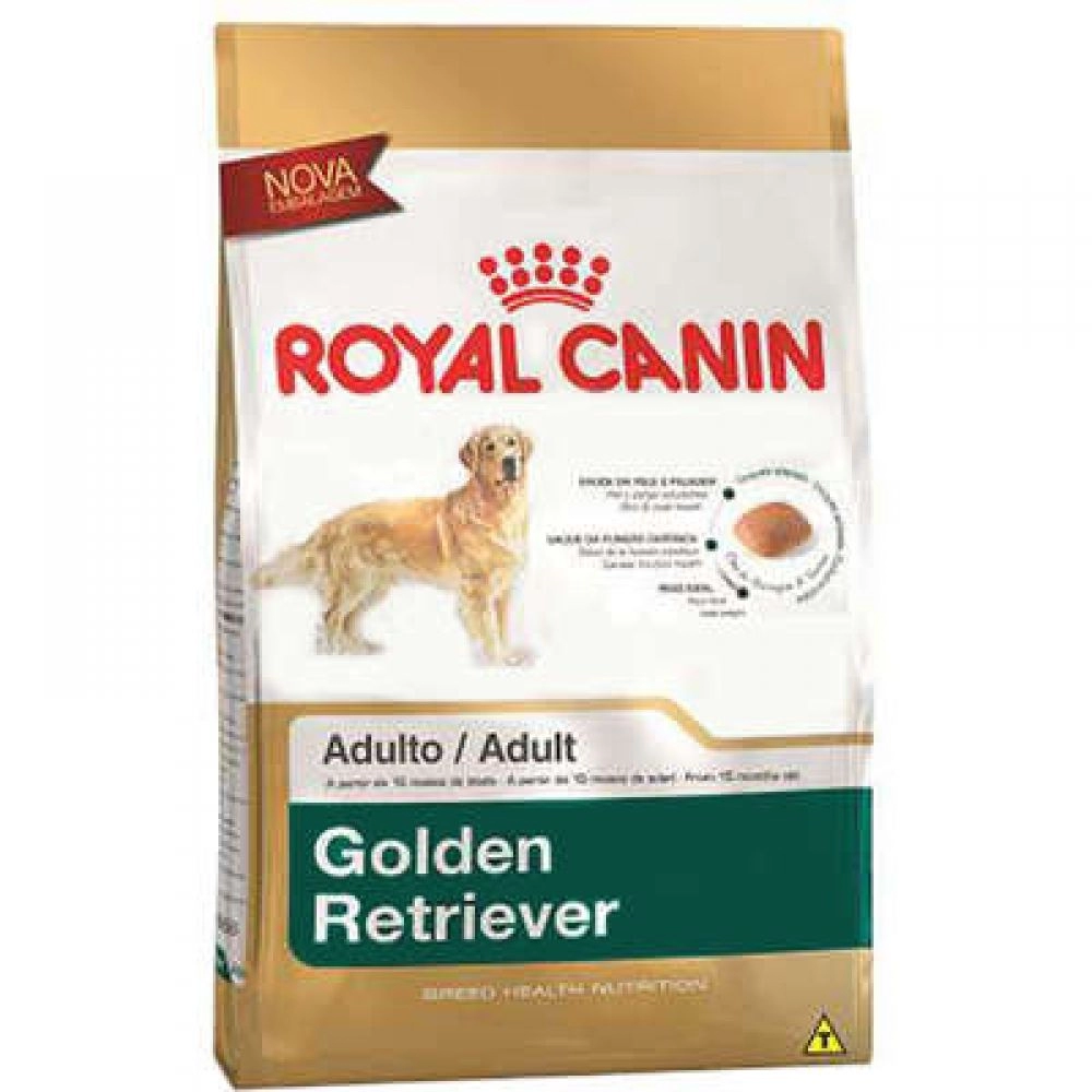 GOLDEN RETRIEVER