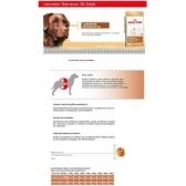 Ração para Labrador Retriever Adultos - Royal Canin